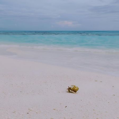 Bougan Villea Retreat Bodufolhudhoo Luaran gambar