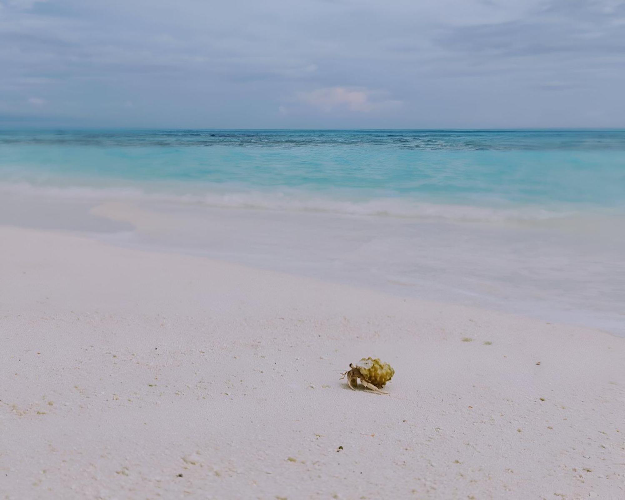 Bougan Villea Retreat Bodufolhudhoo Luaran gambar