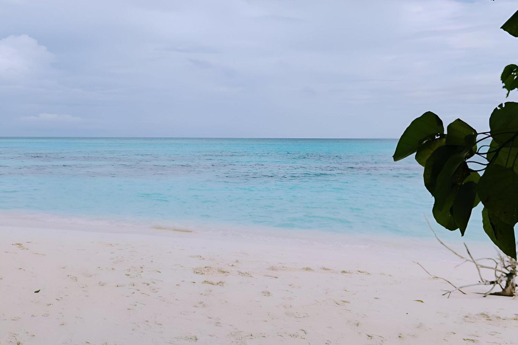 Bougan Villea Retreat Bodufolhudhoo Luaran gambar